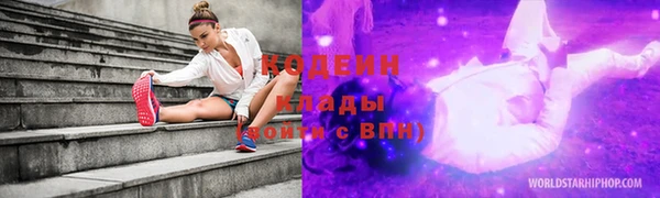 твердый Вяземский