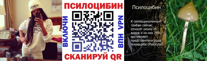 Псилоцибиновые грибы MAGIC MUSHROOMS  где продают наркотики  Дмитровск 